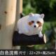 户外园林景区树上仿真动物浣熊挂饰摆件花园庭院创意可爱造景装