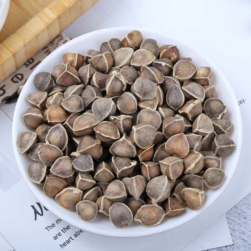 云南辣木籽大货新货大辣木子印度黑籽非洲籽的作用散装卖500g
