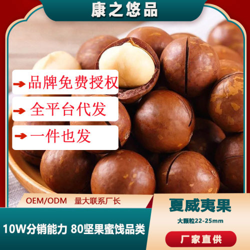 一件代发临安澳洲特产大颗粒奶香味夏威夷果含罐22-25mm批发