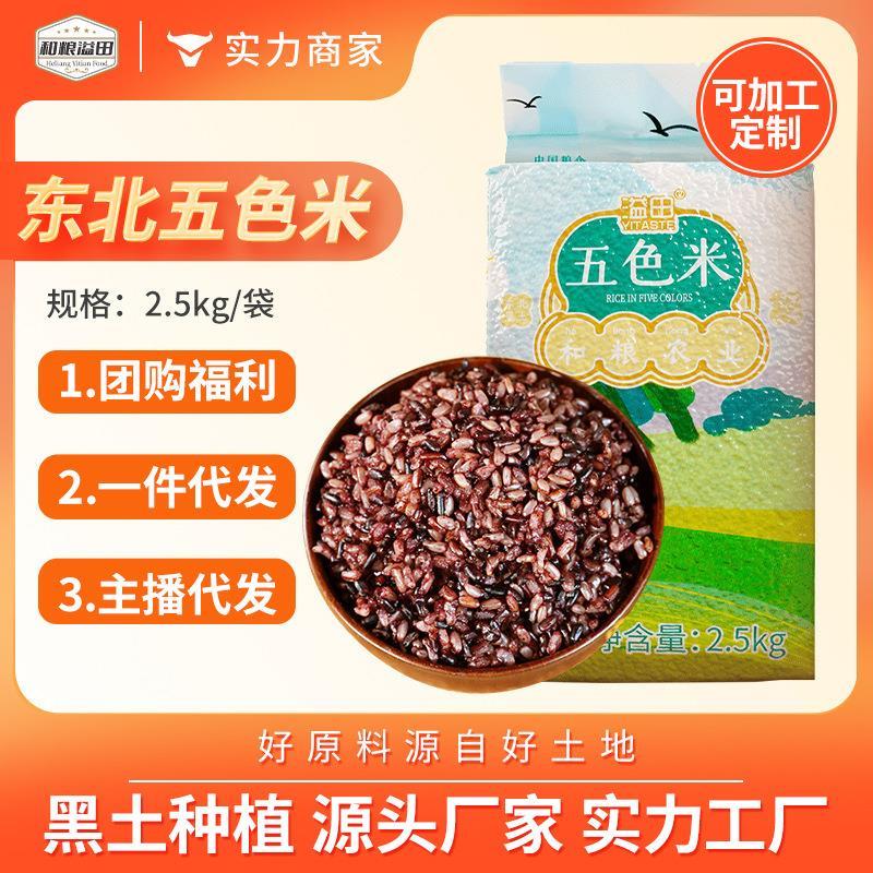 溢田五色糙米5斤东北谷杂