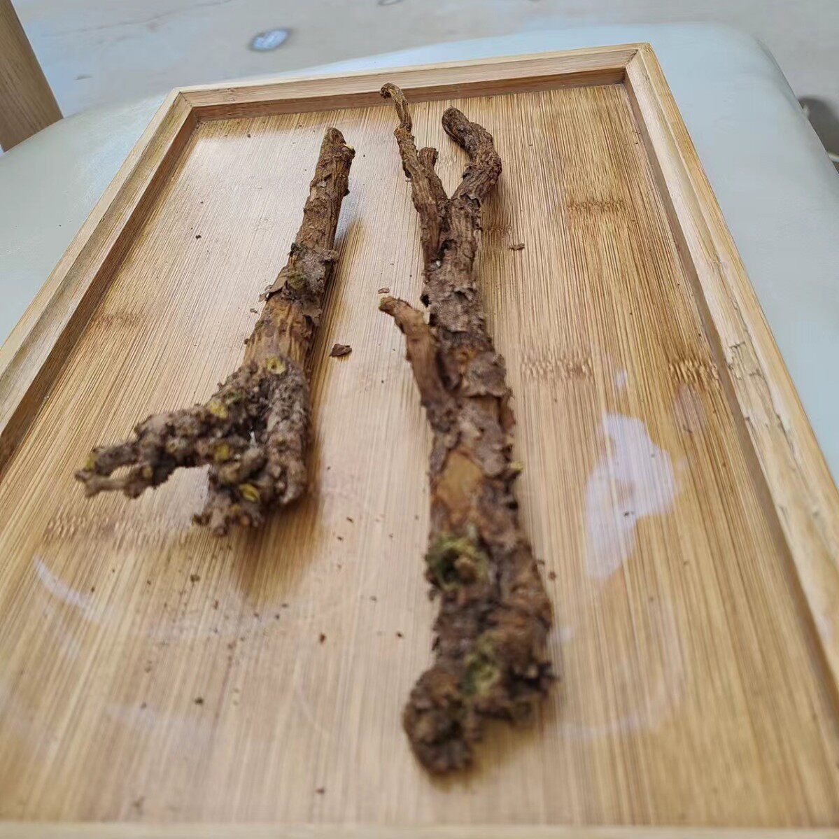 甘肃陇南武都黄芩枯芩野生特大干条子含量高干净无硫原药药食同源