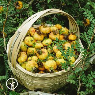 远方的梦想有机活刺梨原原液远方物原GJU汁浆VC高性营养温性好0添