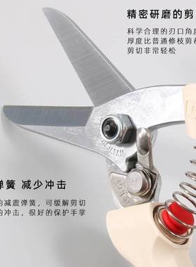 日本爱丽斯ARS 140DX进口花剪园艺塑胶剪 花艺剪 修枝剪 果树剪刀