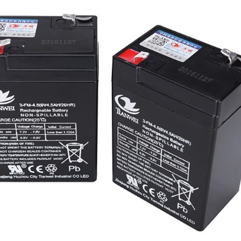 佰伦斯汉狮衡之宝上海英展电子称蓄电池 4V4AH 6V电子称电池电瓶