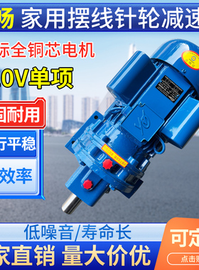 单项家用电220v摆线针轮减速机卧式BWDJ立式L国标全铜芯电机All