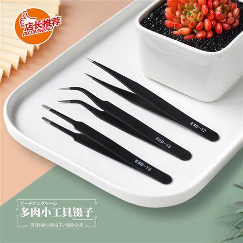 多肉镊子种植工具园艺家用加厚弯头直头圆头套装夹钳子夹虫子枯叶,鲜花速递/花卉仿真/绿植园艺,其它园艺用品,淘宝优惠券,粉丝福利购,淘宝优惠卷