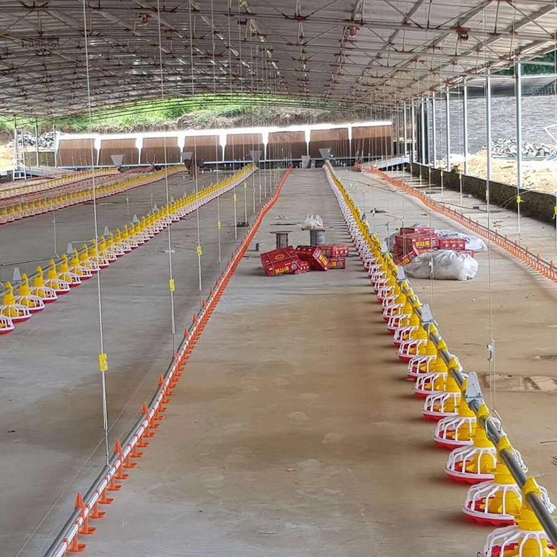 TUQ厂家畜牧养殖大棚料线线水料线鸡鸭鹅饲喂料料养殖自动化喂系