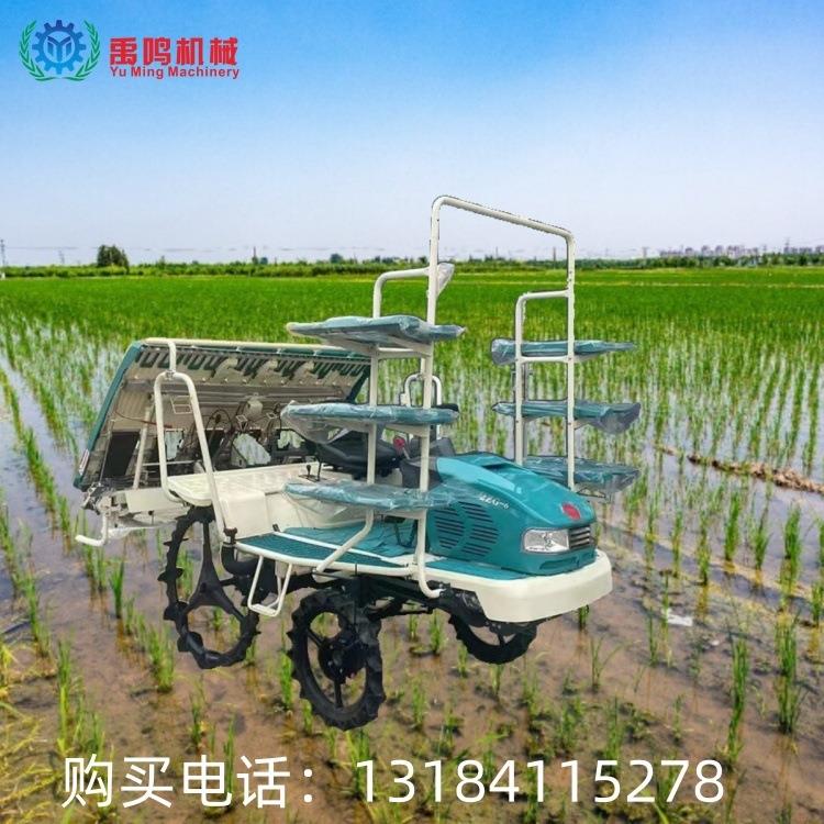 汽马油6插行秧机乘坐TVC水稻苗栽植机25力秧式苗插植机