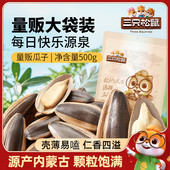 坚果炒货零食葵花籽1斤 焦糖瓜子500g 新品 三只松鼠_山核桃味