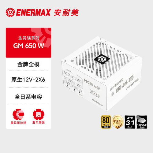 安耐美金竞蝠GM650W电源台式机主机电脑机箱电源金牌全模组ATX3.1
