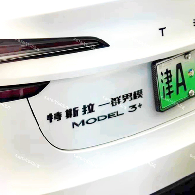 适用于特斯拉汽车改装拉一群男模拉帮结派文字创意搞笑玩梗车标贴