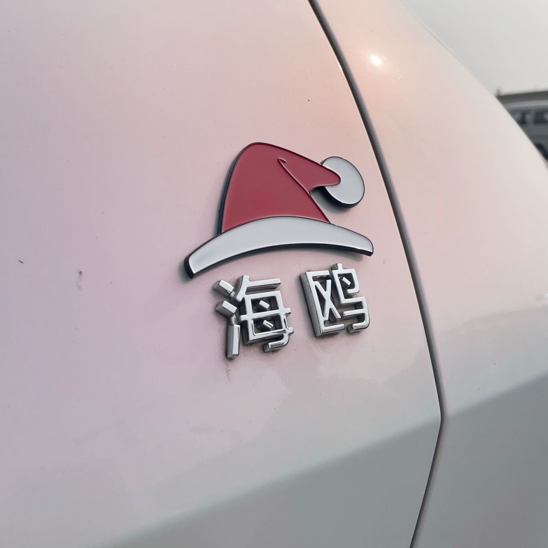 3D立体标小红帽个性创意车标尾标原文字改装车标贴尾标汉字比亚迪