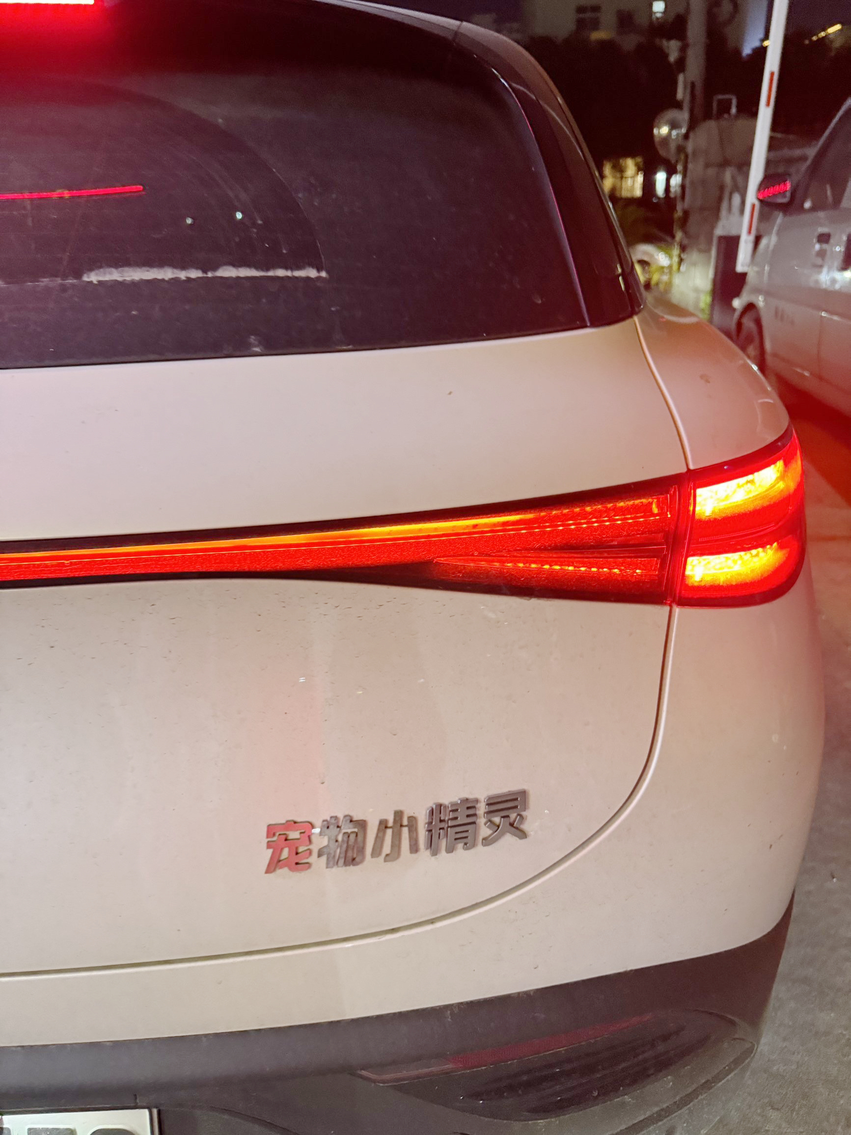 宠物小精灵不锈钢汽车装饰贴个性定制smart精灵标志汽车尾标贴