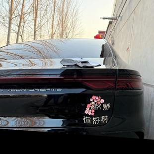 比亚迪汉汽车改装文字搞笑车标贴汉卿你好啊新年车贴花瓣贴