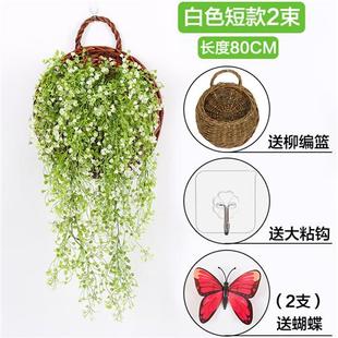 仿真金钟柳客厅墙壁装 饰室内绿植壁挂花藤条垂吊墙面假花塑料吊兰