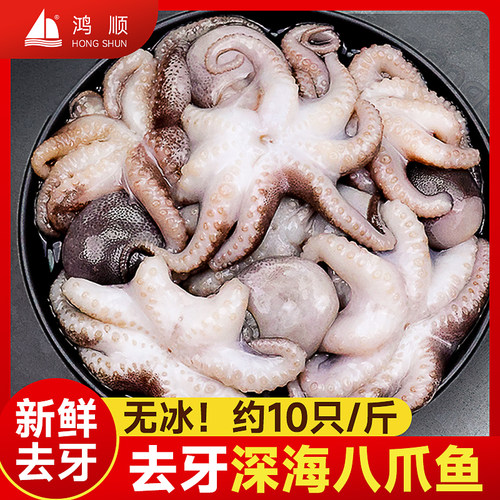 小八爪鱼无冰净重无泡发章鱼
