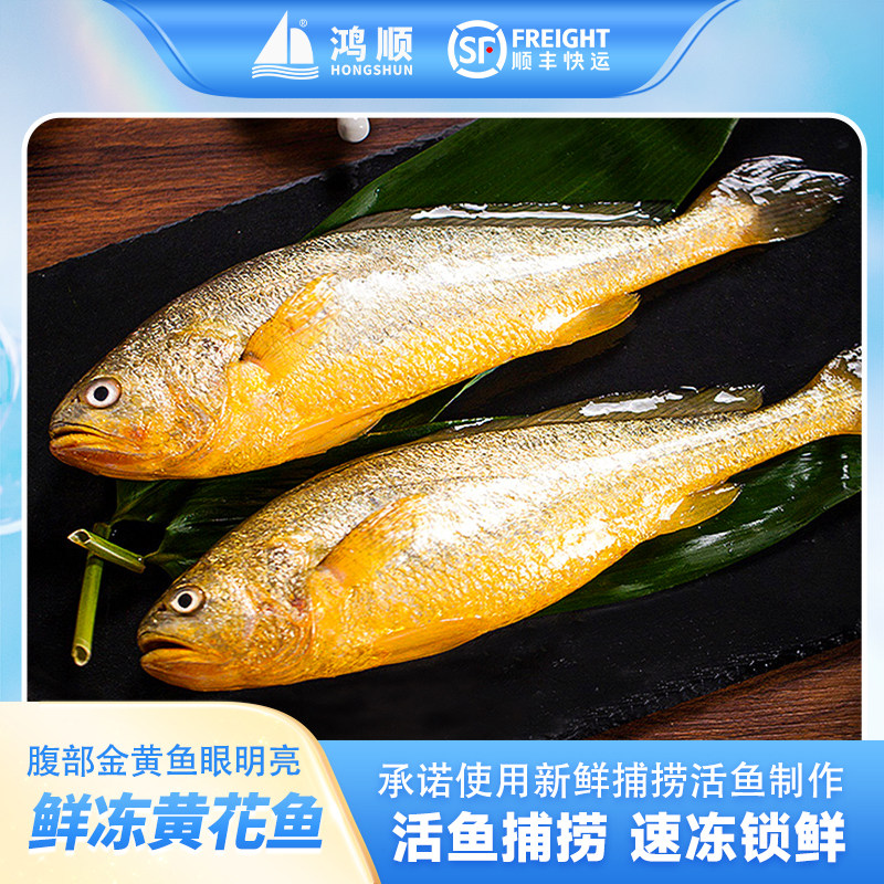 新货大黄花鱼新鲜冷冻生鲜水产鲜活冰鲜海鱼宁德小黄鱼黄鱼鲞商用