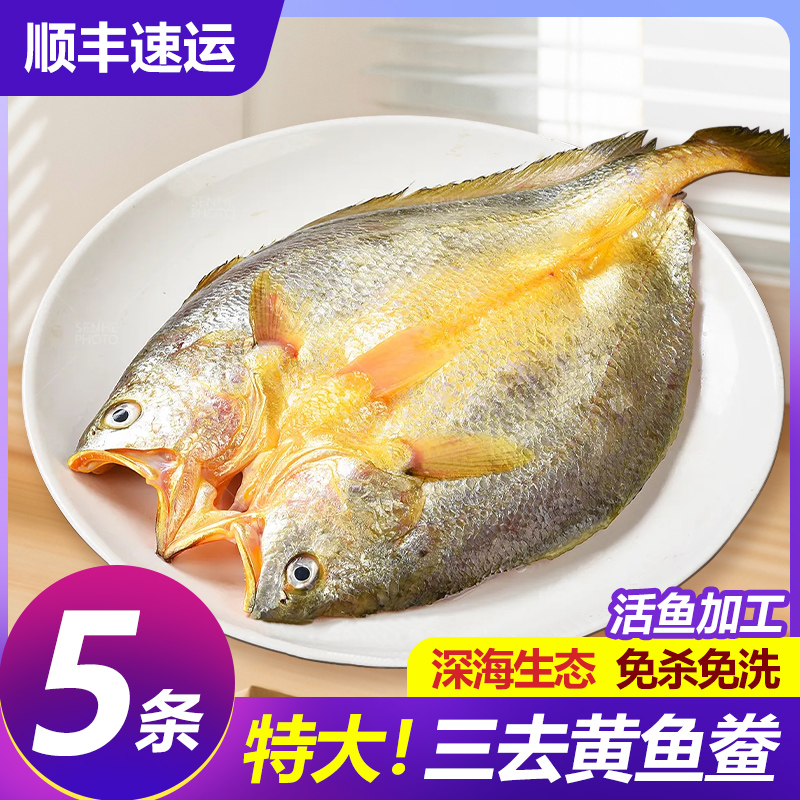 鸿顺新鲜冷冻黄鱼鲞大黄花鱼顺丰