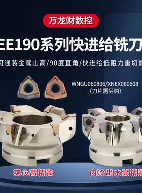 MEE190快进给双面铣刀盘XNEX080608通装金鹭山高90度方肩飞刀盘