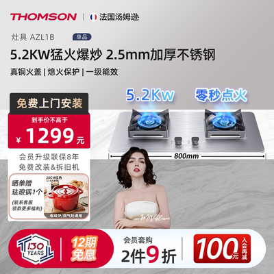 法国THOMSON5.2kw不锈钢燃气灶