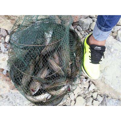 ZERG虫族GRUB卷尾蛆2.4寸3寸路亚软饵软虫黑坑鳜鱼鲈鱼翘嘴