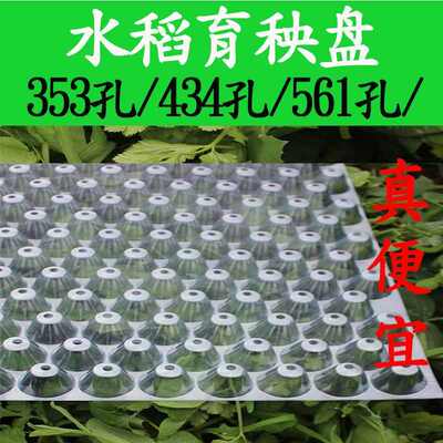 抛秧盘育秧盘手工水稻机插秧穴栽秧机盘盘盘抛抛秧353/434机盘
