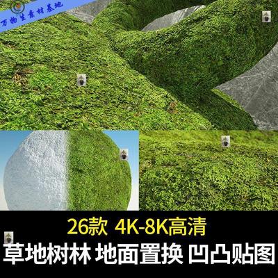 草地森林枯树枝地表面C4D渲染法线凹凸高清3DMAX纹理置换贴图材质
