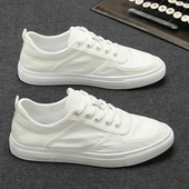 低帮透气系带休闲男鞋 ZaSaFran 2025年新款 帆布鞋 春季 冰丝布板鞋