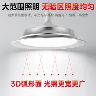仓鼠补光灯UVB补钙灯加热灯促进食欲生长灯全光谱仿太阳光宠物灯
