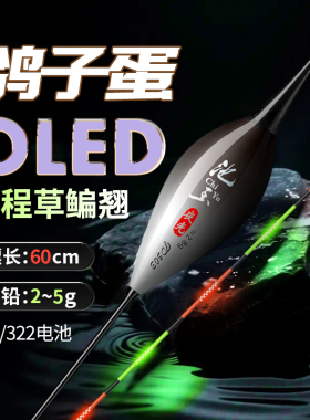 超长316LED鸽子蛋枣核行程夜光漂高灵敏抗风浪走水日夜两用鲫鱼漂