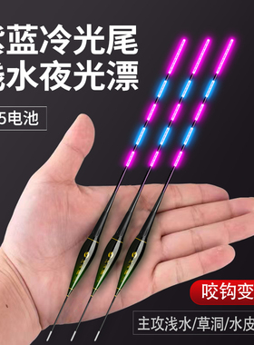 紫蓝浅水漂短漂高灵敏醒目电子夜光漂夜钓轻口鲫鱼漂冰钓草洞浮漂