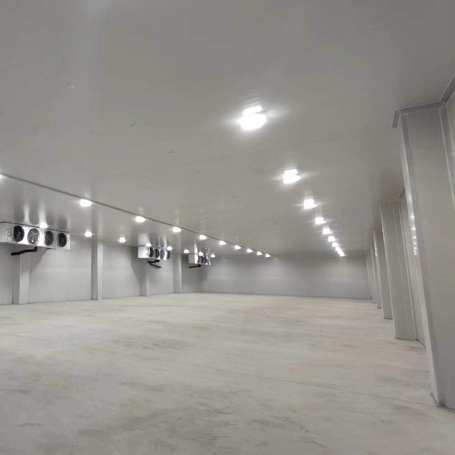 东用莞冷库设计实力工厂-3温5℃低超295速冻冷库工程于食品医药物
