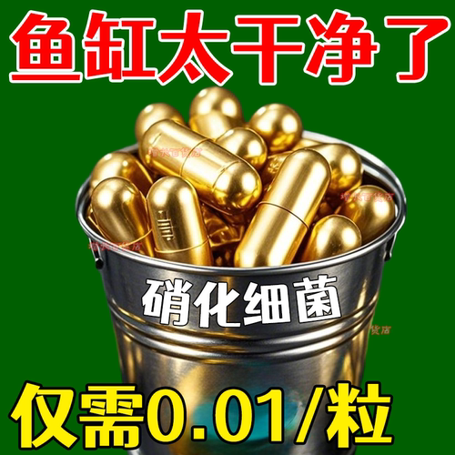 硝化细菌开缸养鱼水质净化益生菌