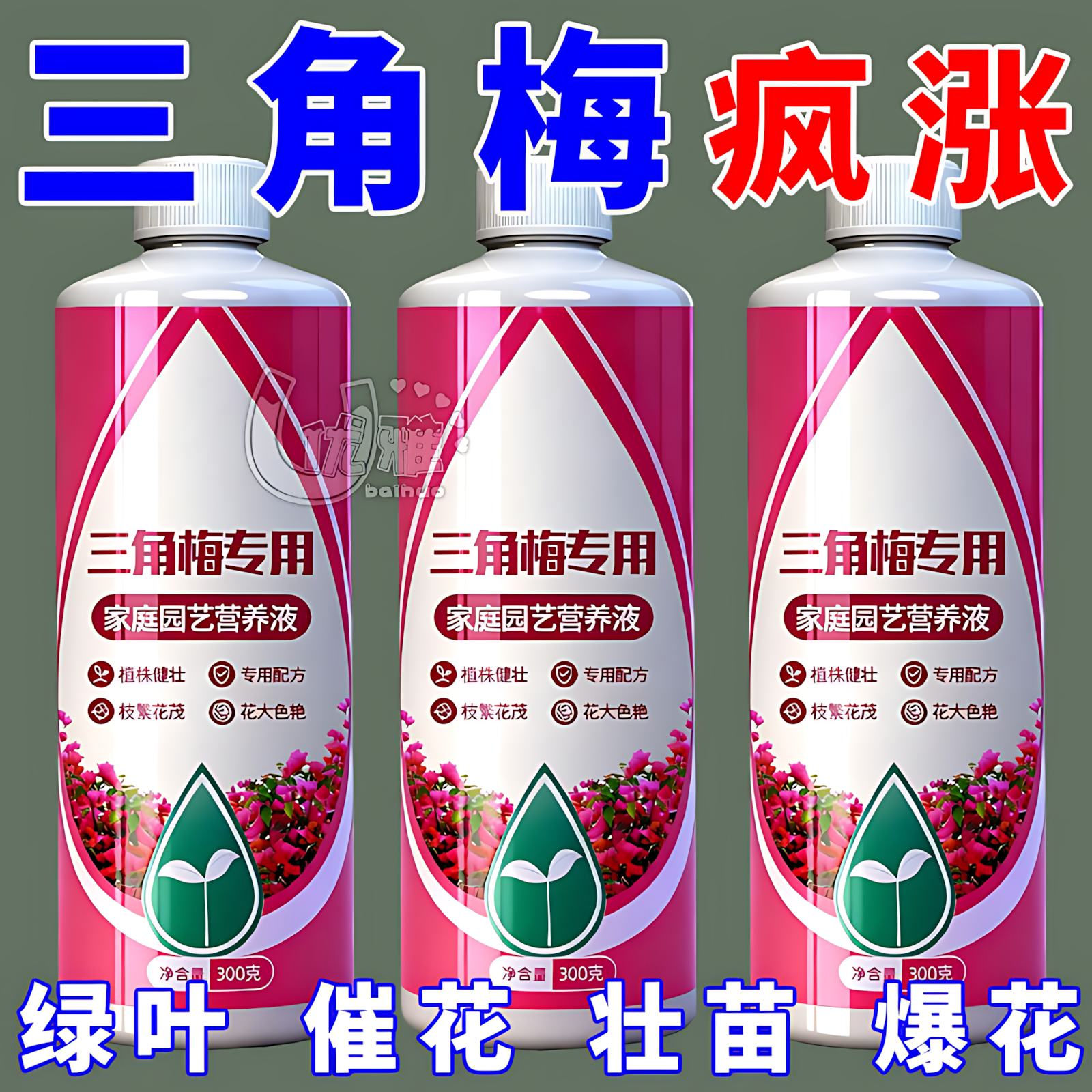 三角梅速效开花素植物营养液免稀释通用促茶花开花卉专用肥催花素