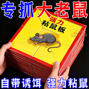 强力粘鼠板捉耗子粘板老鼠贴强粘力大老鼠强力胶引诱捕鼠粘鼠神器