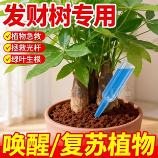 植物再生剂复活液花卉绿植盆栽通用光杆发黄发财树多肉生长营养液