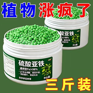 硫酸亚铁花肥料栀子花茶花杜鹃桂花防黄叶盆栽营养土壤调酸水溶肥