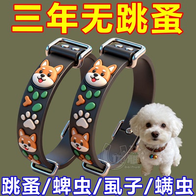 橘猫驱虫药千万别乱买，市面上这几种智商税成分用了等于白花钱