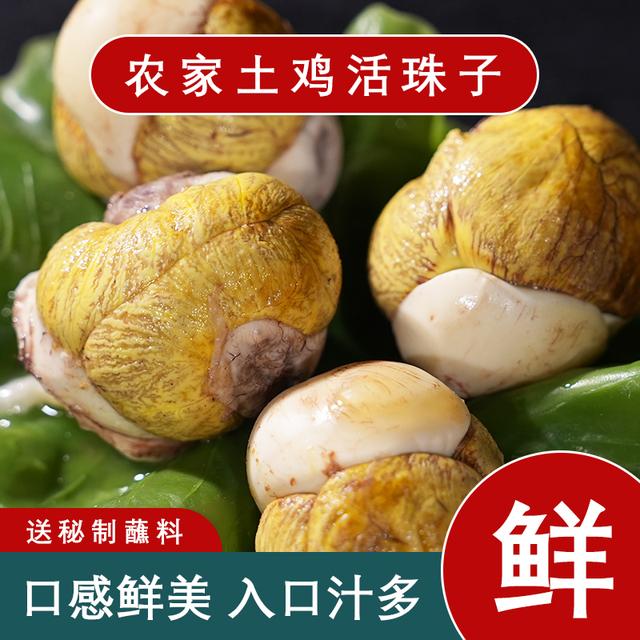 悠宝活珠子香辣味五香味十三天钢化蛋营鸡胚胎蛋正宗喜蛋即食