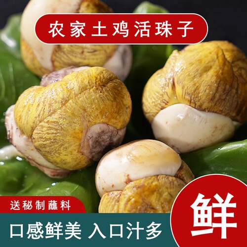 悠宝活珠子香辣味五香味十三天钢化蛋营鸡胚胎蛋正宗喜蛋即食