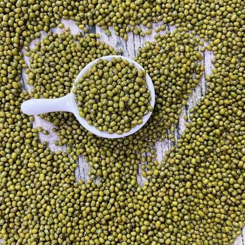 【到手3斤】绿豆易煮出沙可发芽熬粥做绿豆汤小颗粒迷你五谷杂粮