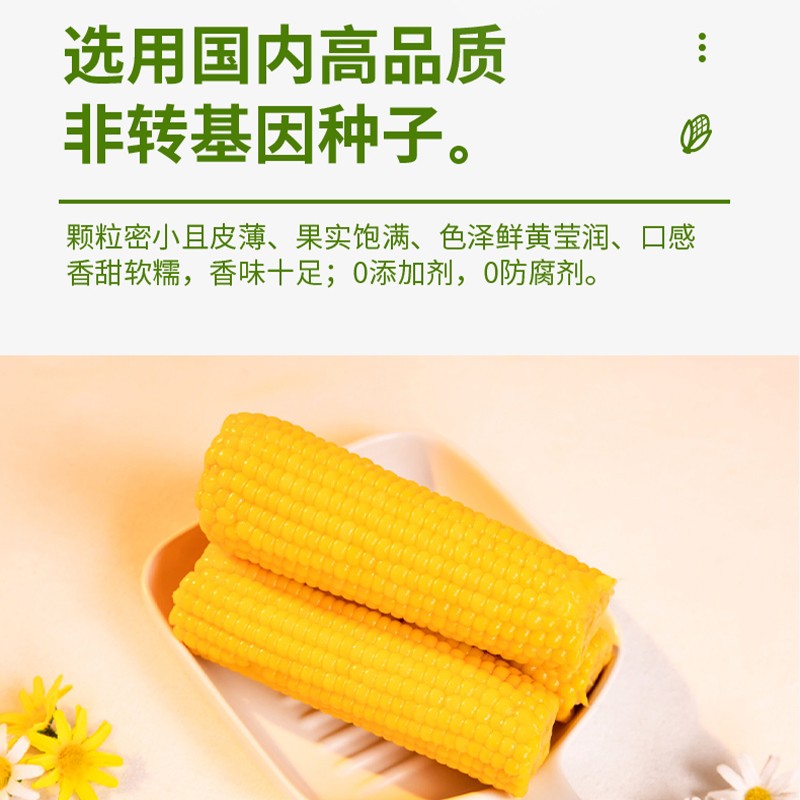 〈老马专属〉试吃两根美蒙草原内蒙沙地黄金小粒甜糯玉米200g*8穗