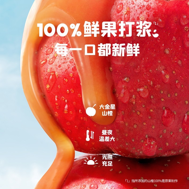 【0白砂糖】忆小口山楂片益生菌发酵浆鲜果打浆酸甜山楂片BD
