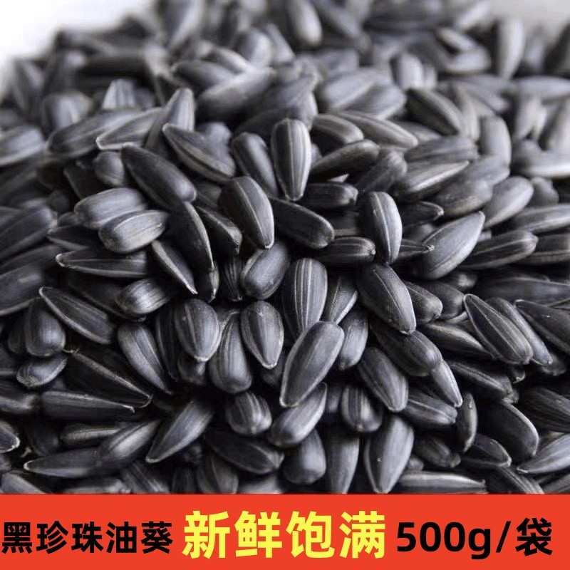黑珍珠小瓜子内蒙古奶香味草原正宗原味精选油葵零食葵花籽葵瓜子