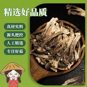【小田姑娘工厂店】鹿茸菇 菌菇干锅爆炒鲜香炖汤煲汤营脱水食材