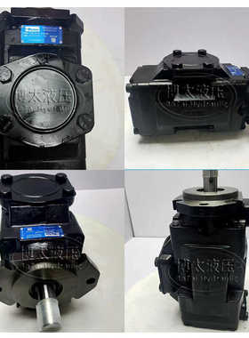 新款ParKer丹尼逊T7DDS E42 E42 1R00 A1M0双联叶片泵T7DS伺服泵