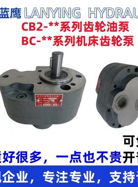 新款CB2/CB3-32/40/50/63/80/100/125/25/20/16/10/6上海磨床包邮