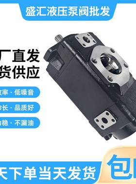 新款替代派克丹尼逊伺服泵T67CCCAT-B20-B22-3R32-A1MY双联叶片液