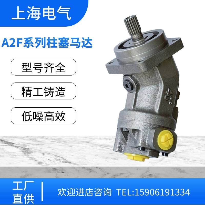 新款上海电气A2F28R6.1B3 A2F80R6.1P5 A2F107W6.1P6 柱塞泵回转