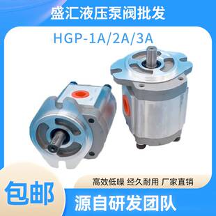 新款 台湾HGP F8R F4R F11R F6R F14R F19R高压齿轮 F17R F13R